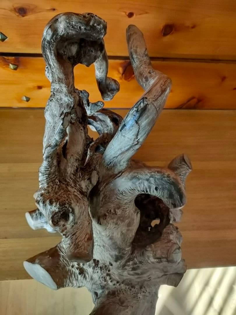 年末セール★大型流木