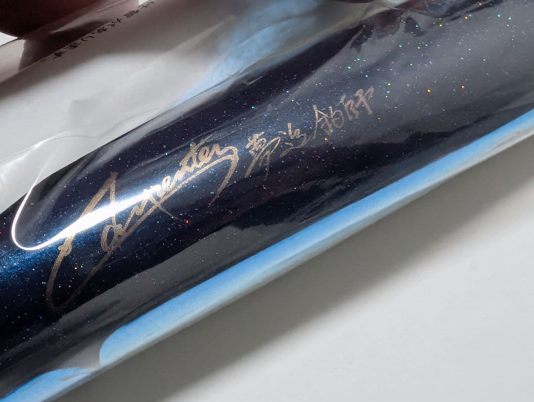 カーペンター ストライクイーグル 245 夢追釣師