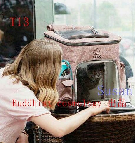 ペットキャリーバッグ リュック 小型犬?猫NH