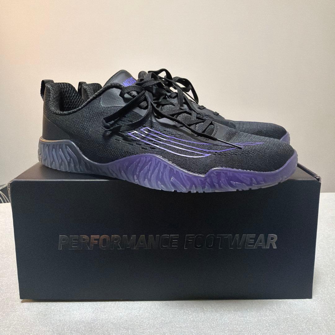 ウエイトトレーニング Avancus apex power v3