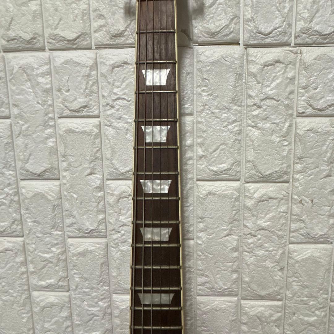 Blitz by aria proII Leopard レスポール　エレキギター