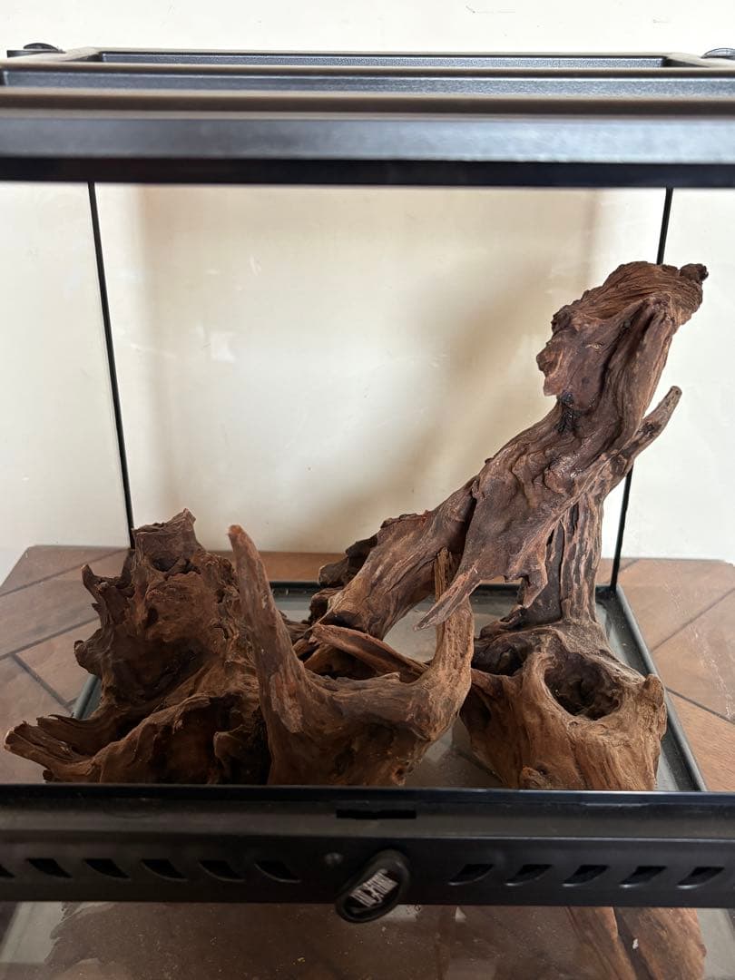 GEX グラステラリウム 3030 流木レイアウトセット　エキゾテラ ケージ