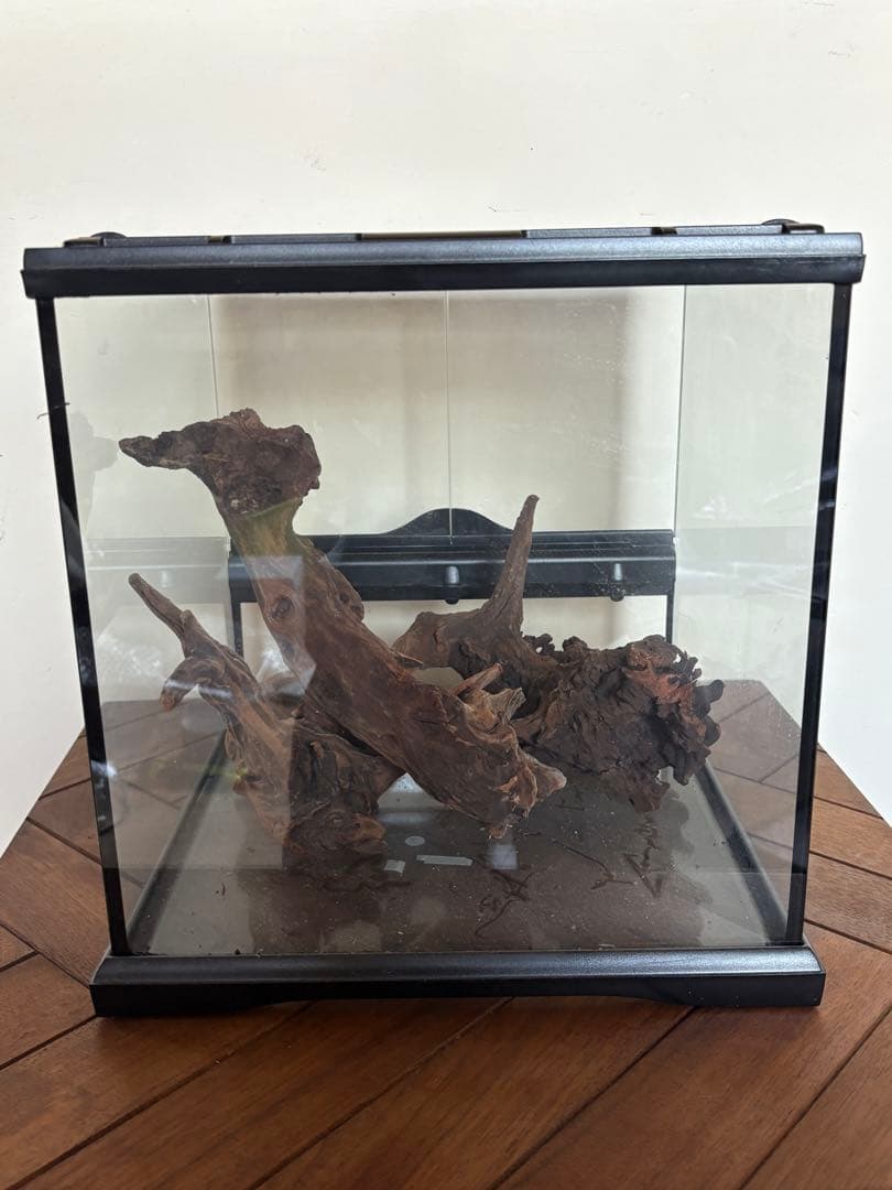 GEX グラステラリウム 3030 流木レイアウトセット　エキゾテラ ケージ
