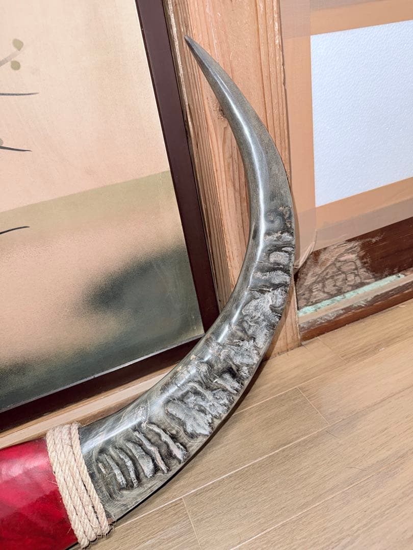 【希少・特大95cm】水牛の角 オブジェ ヴィンテージ 天然素材 迫力満点