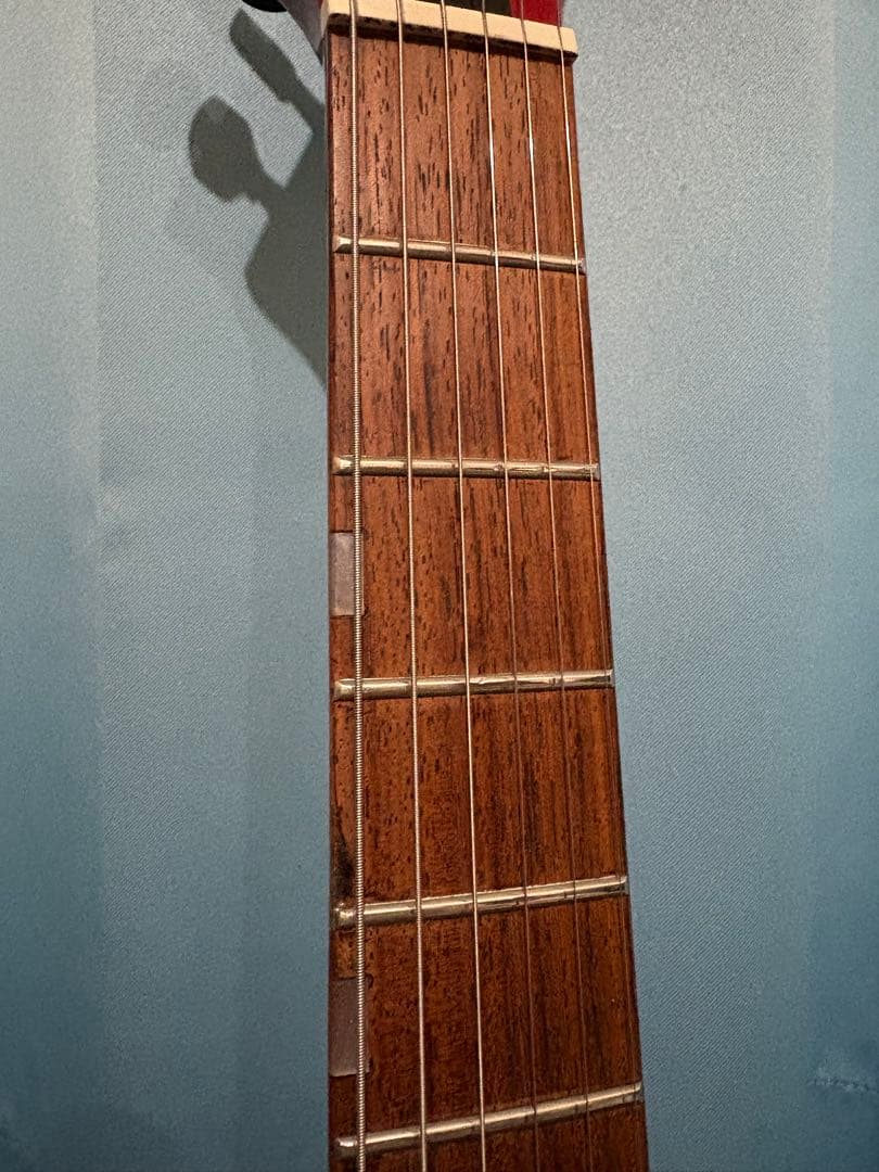 グラスルーツ ストラトタイプ 赤 Grass Roots Red