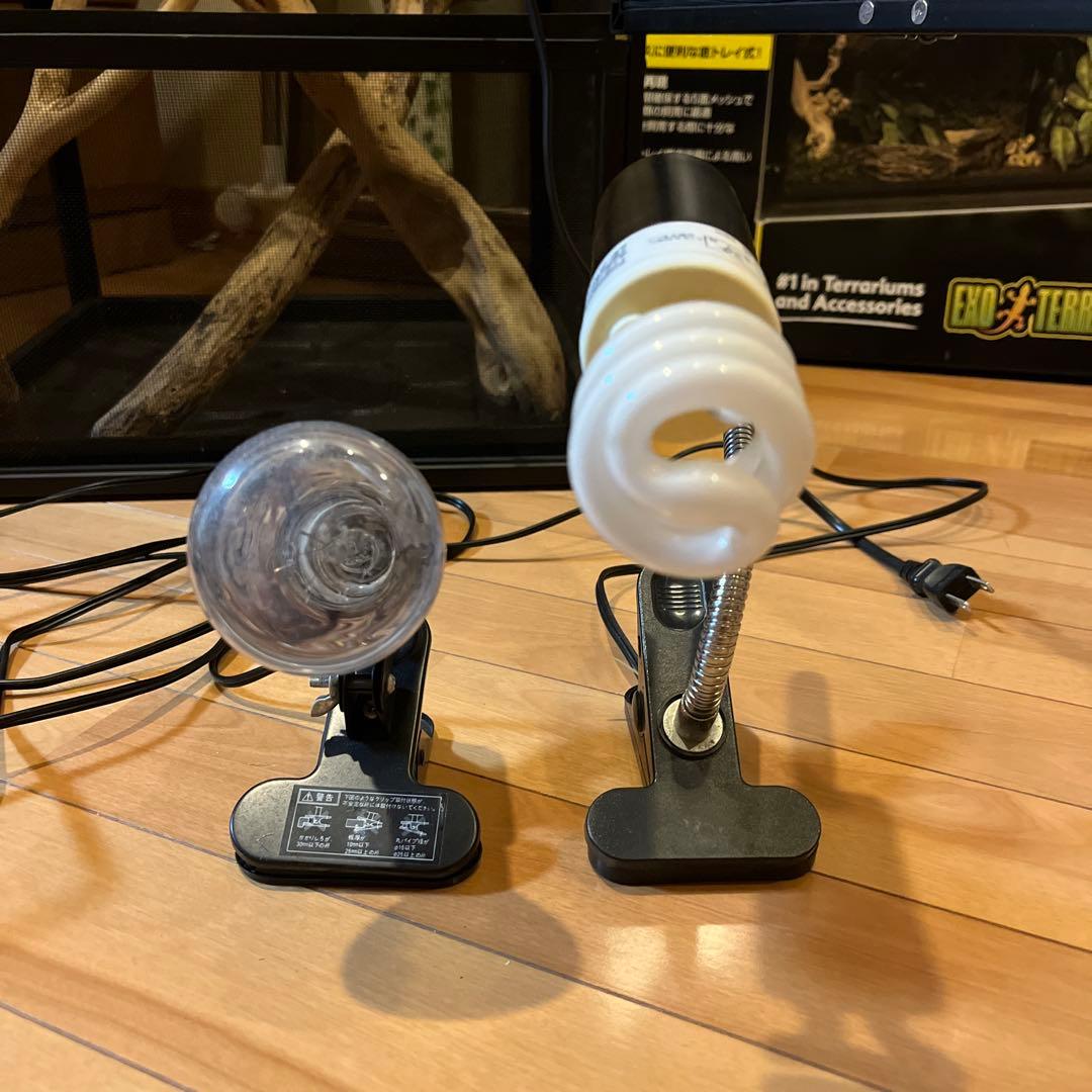 K　スクリーンテラリウム4590 爬虫類飼育セット