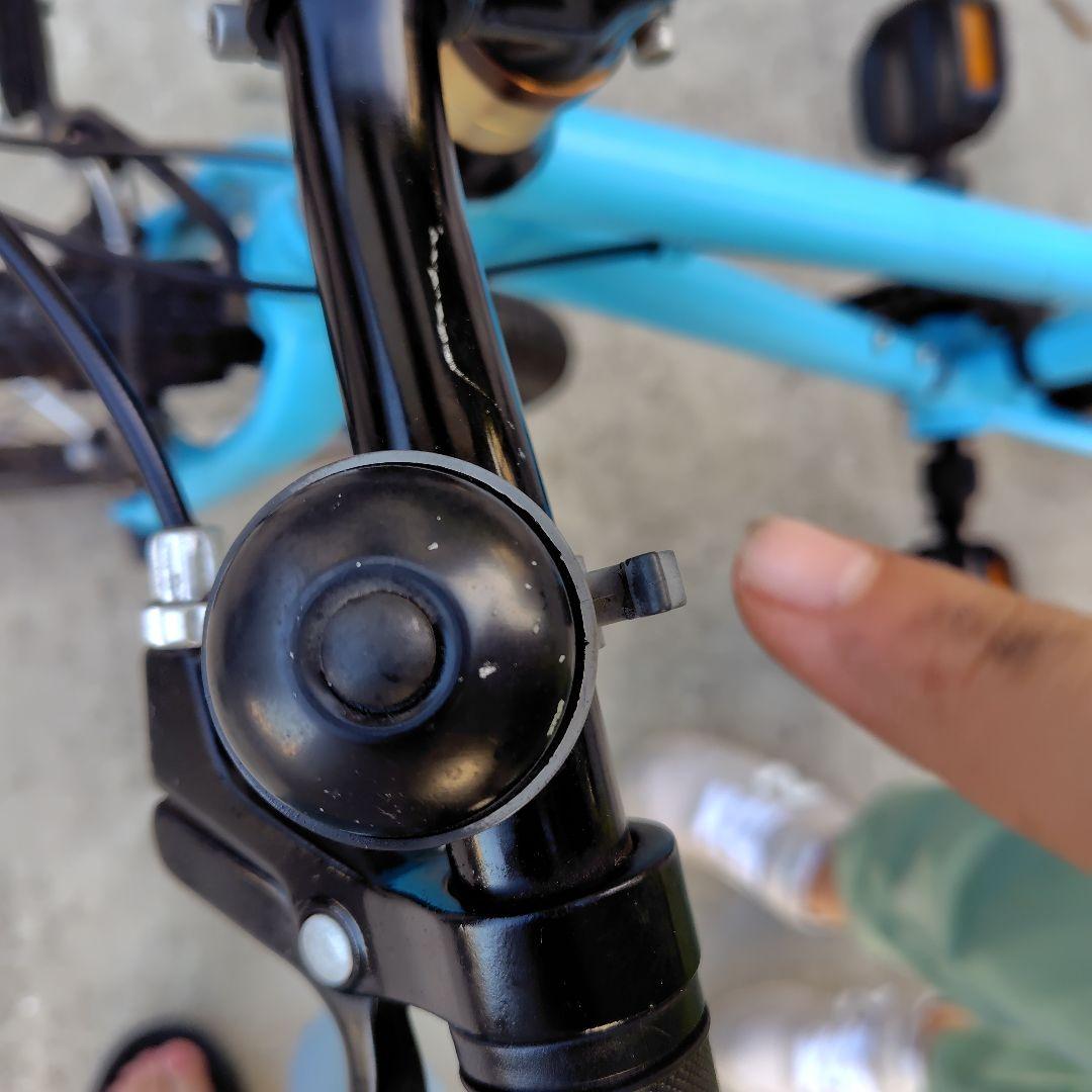 ライトウェイ 子供用自転車 20インチ 6段変速 RITEWAY スカイブルー