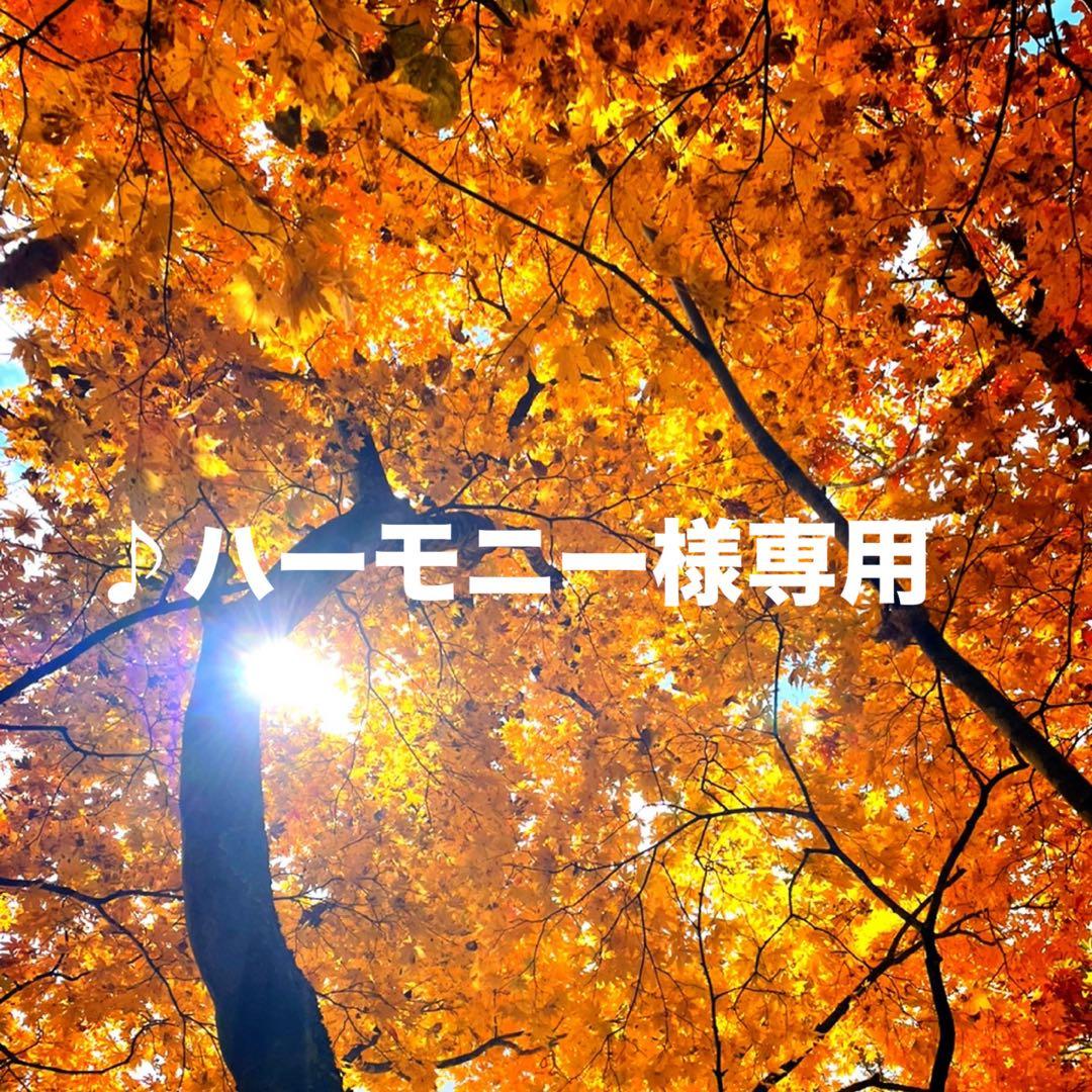 ♪ハーモニー 天然きのこセット