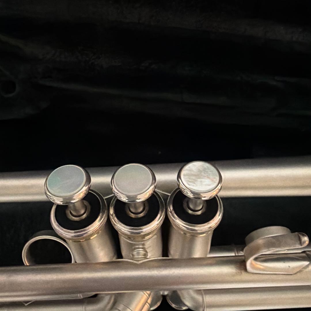 ヤマハトランペットYTR8335RG