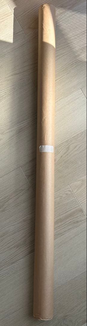 乃木坂46 遠藤さくら 写真集 【可憐 】直筆サイン入りポスター 当選通知書付