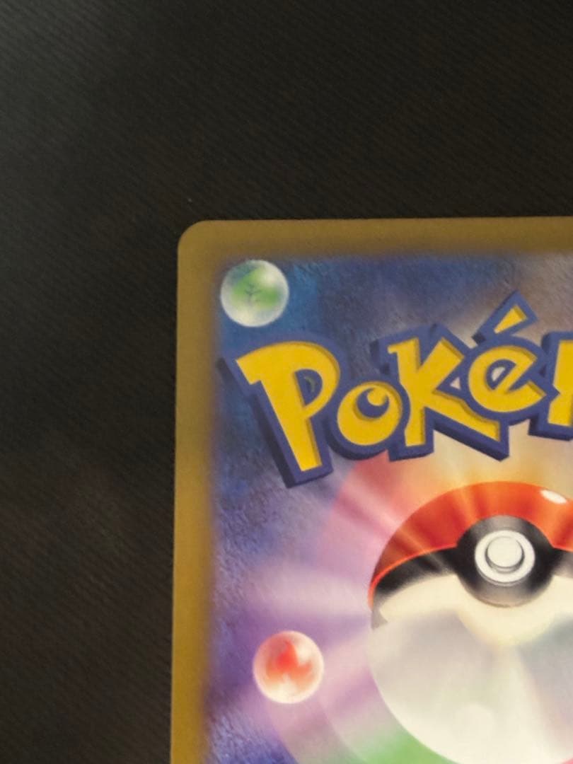 パラダイスリゾート 2024 日本語