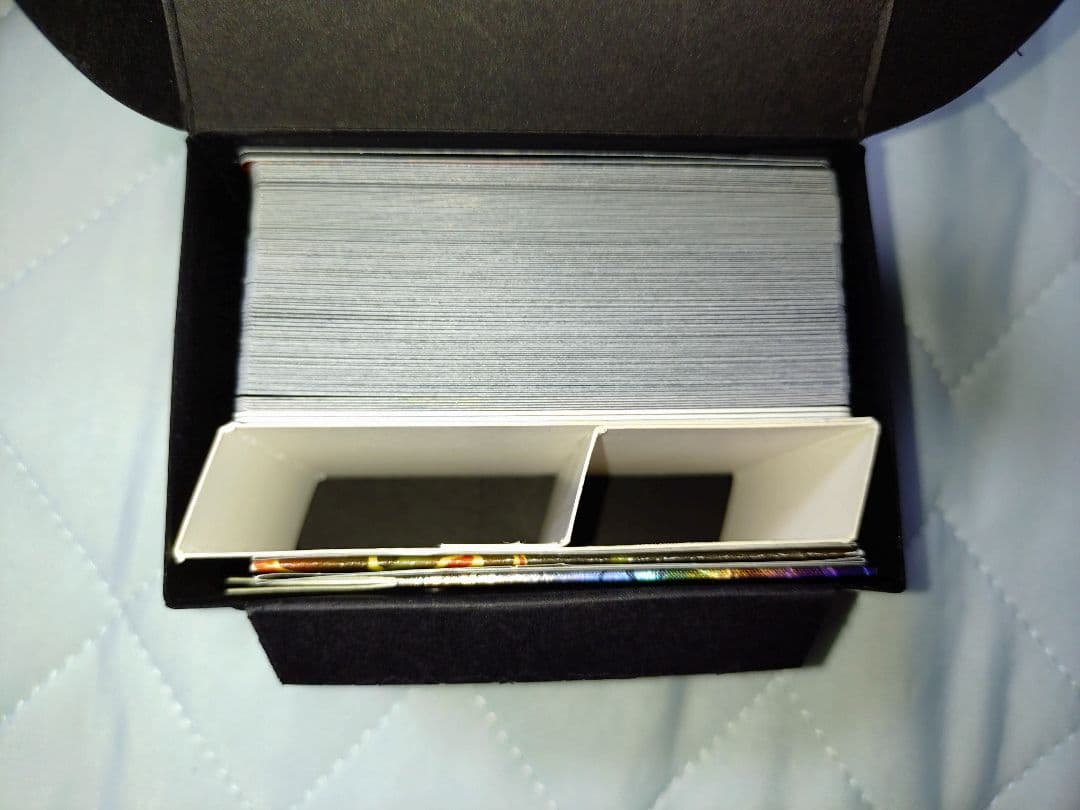 マジック：ザ・ギャザリング MTG secret lair Raining Cats and Dogs