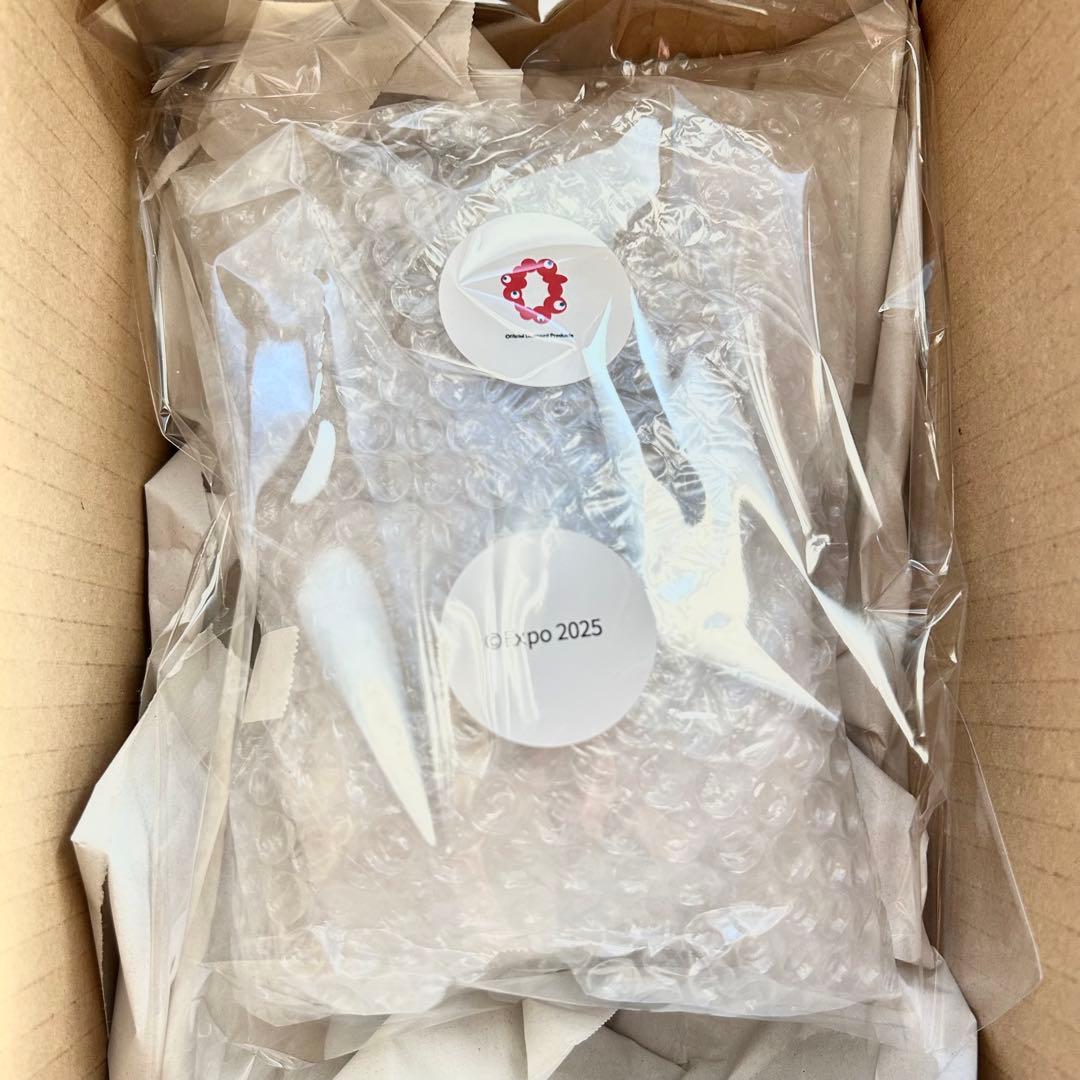 【新品】ミャクミャク LOBINDON ロビンドン 亀甲竜 Mグラキリス 黒