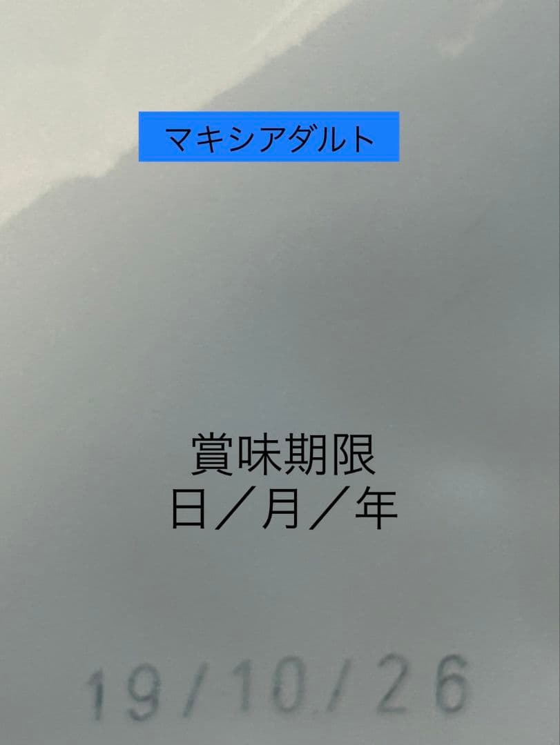  CANIN マキシアダルト 16kg