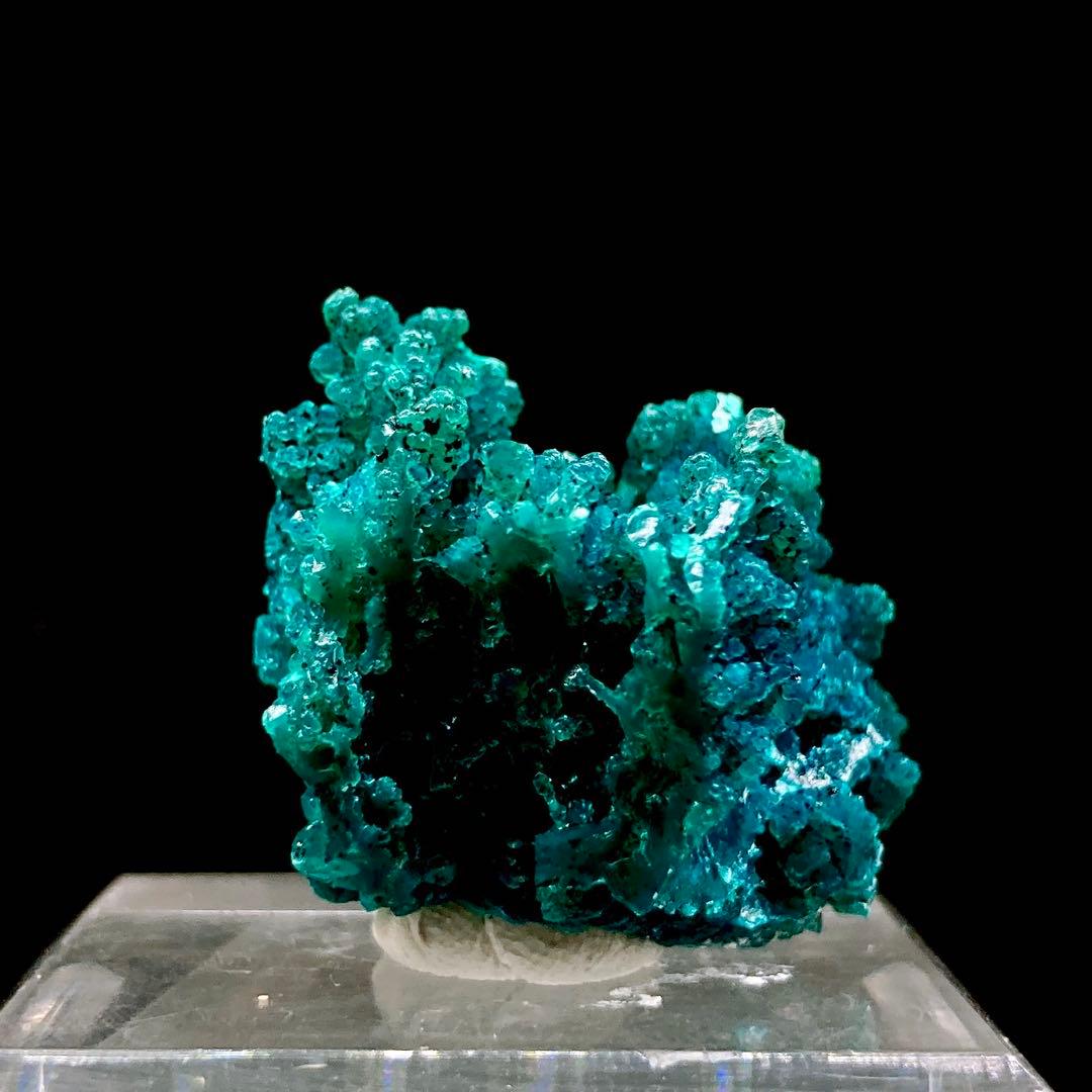 P*l様 『新産地』　クリソコラ　原石　鉱物標本　天然石 665