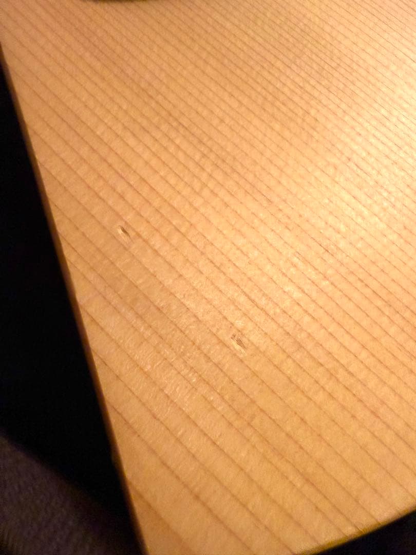 Martin BACKPACKER トラベルギター（専用ケース付き)