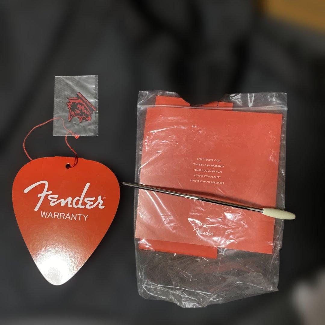 Fenderjapan Jaguar マンウィズアミッション　ジャンケンジョニー