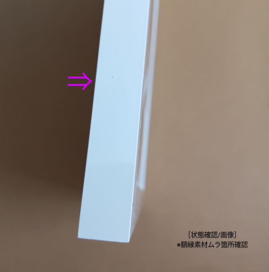 【王様ランキング×Amazon限定】『金のがちょう』A5キャラファイングラフ