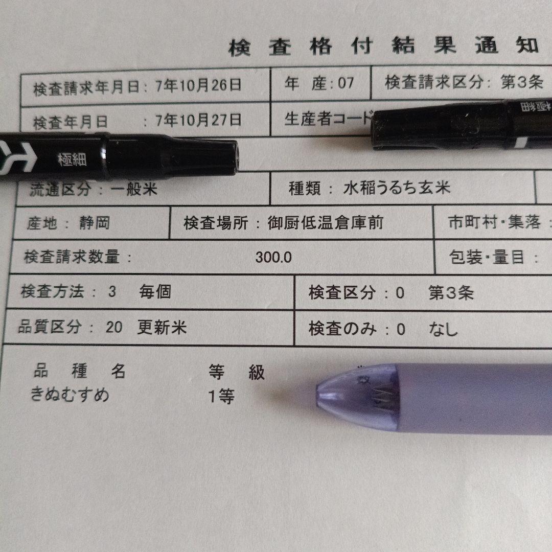 玄米　きぬむすめ　令和7年度産　静岡県　20kg