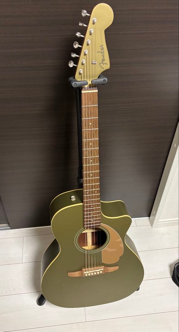 Fender Newporter Player ギグバック付