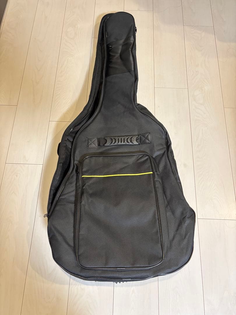 Fender Newporter Player ギグバック付