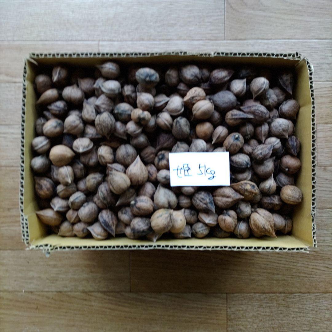 るしゃ出品鬼胡桃、姫ぐるみ２０キログラム