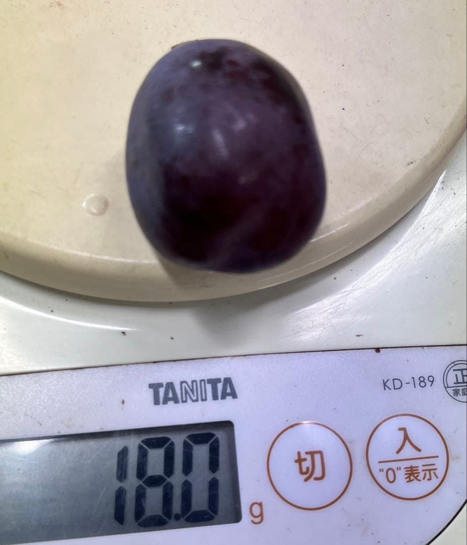 #2 山梨県産　富士の輝き　2kg