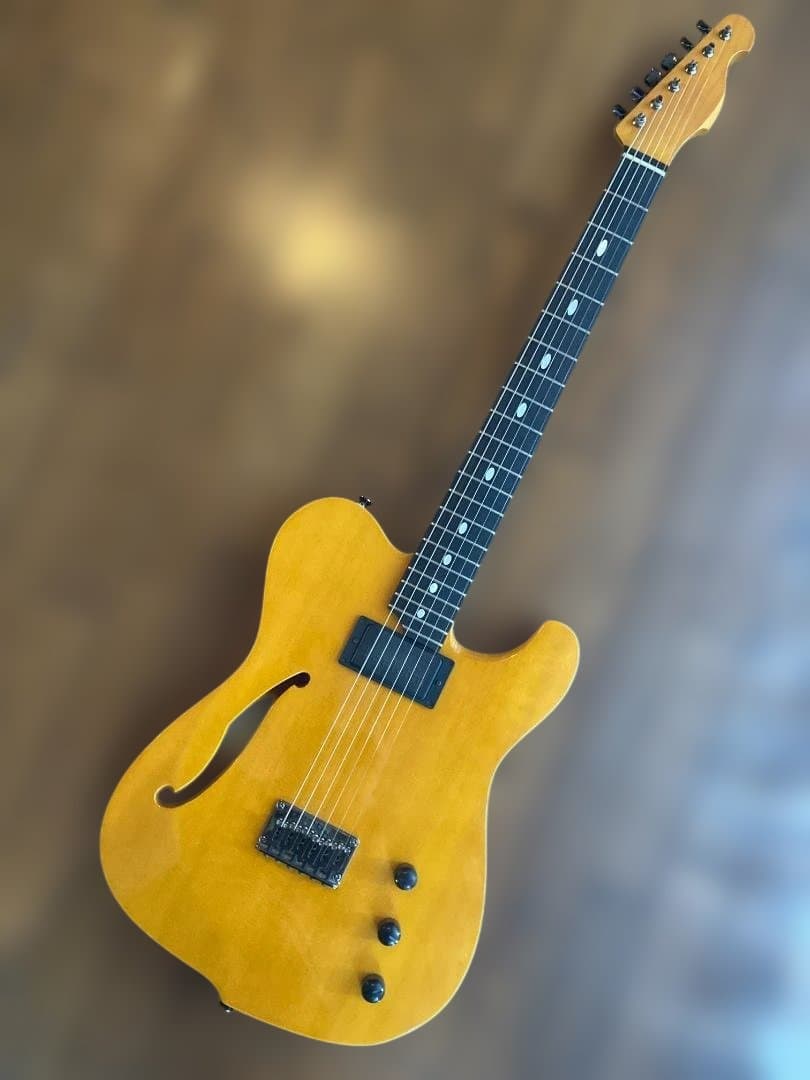 Westville Westel Semi-Hollow 　貴重な１マイク仕様