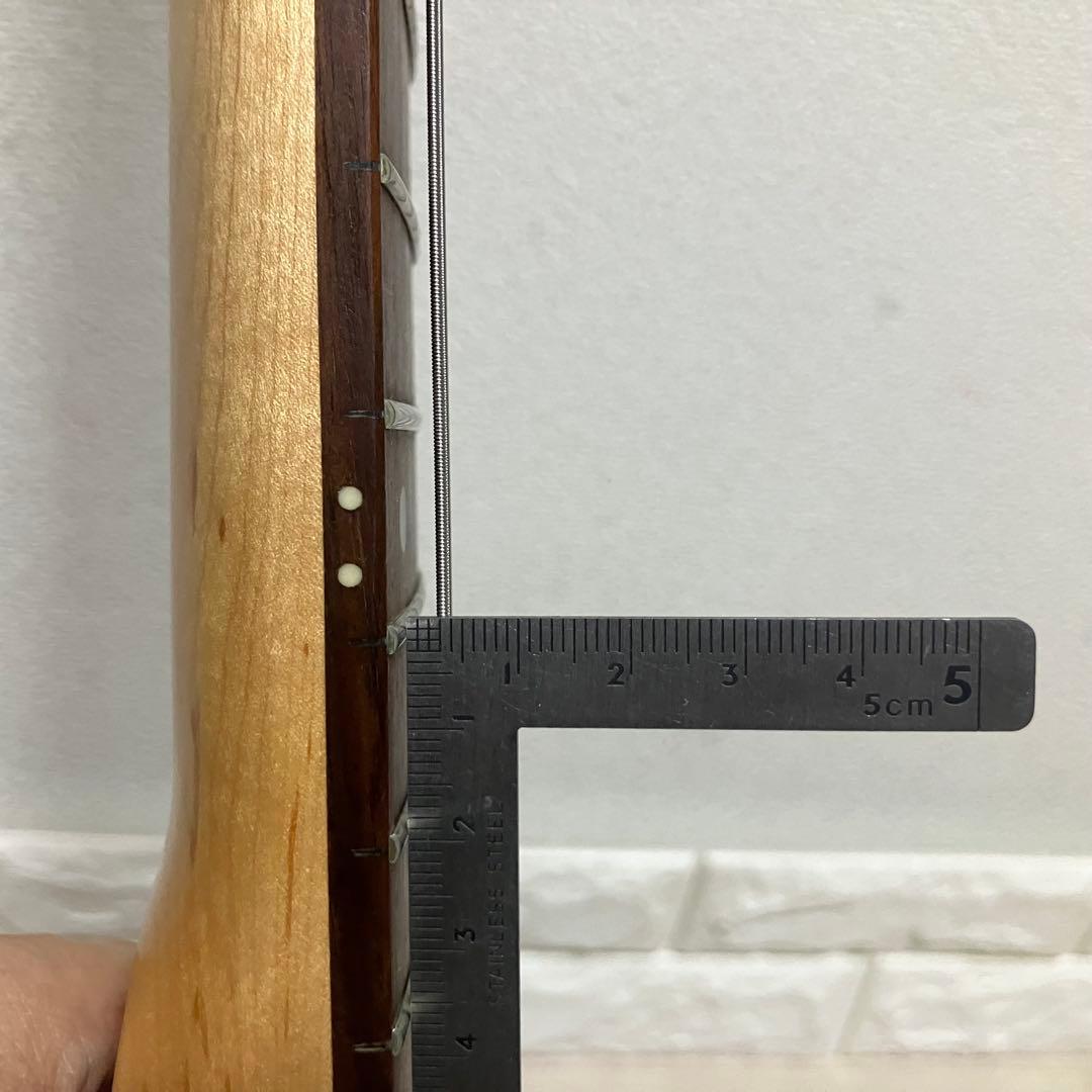 【弦新品/クリーニング済】SELDER セルダー ストラトタイプ エレキギター