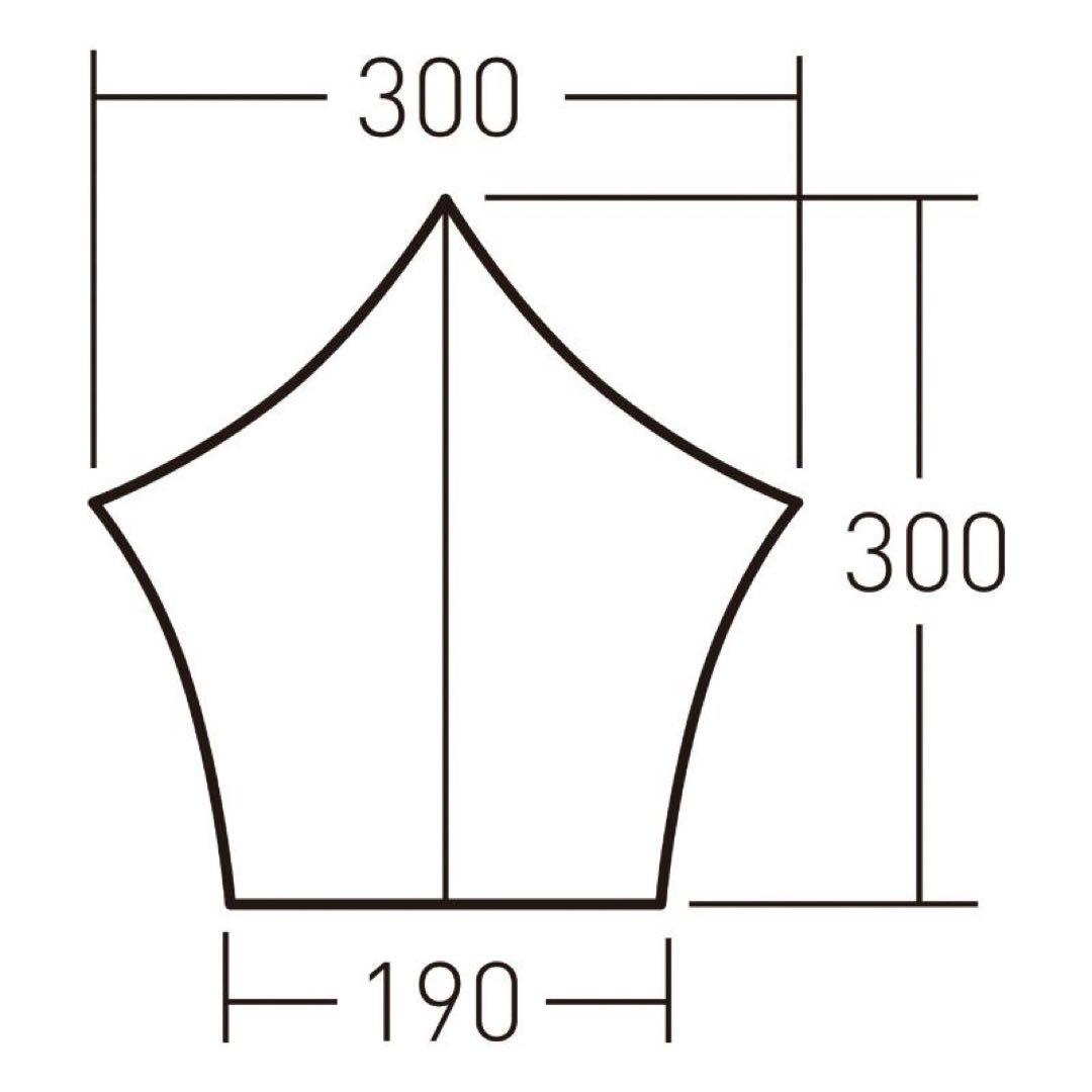 未使用☆OGAWA システムタープ ペンタ 3×3