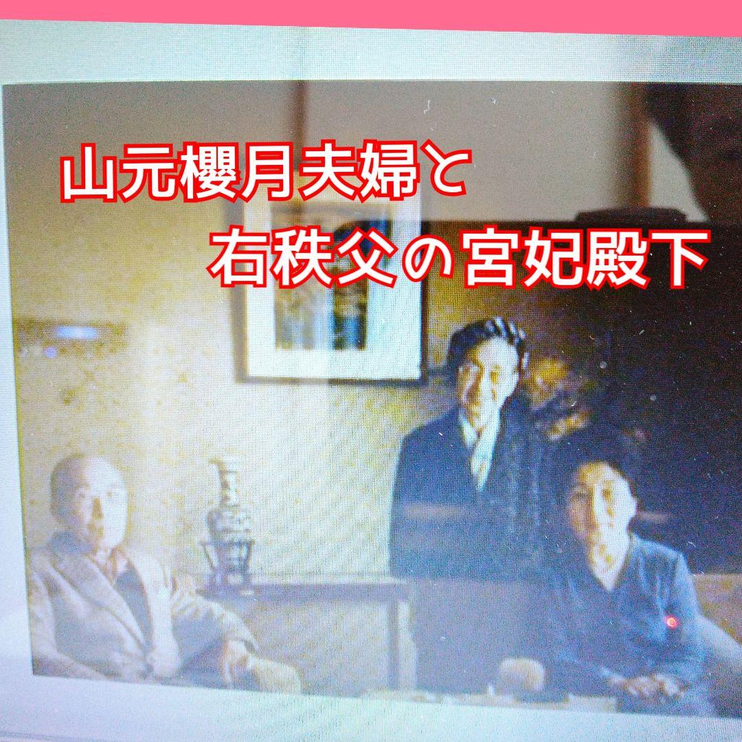 山元桜月　赤　富士山　国立美術館、ルーブル美術館、宮中新宮殿、