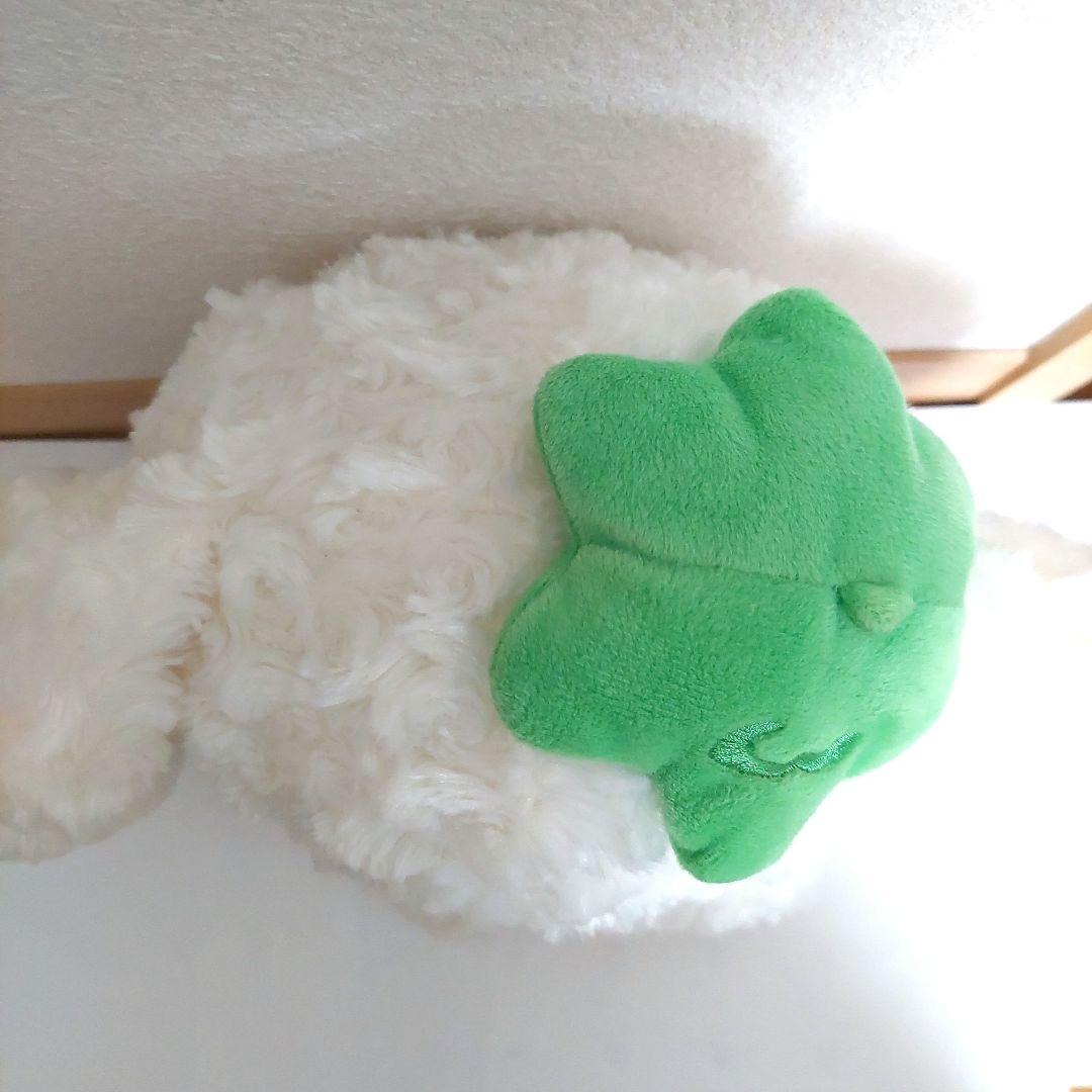 【当時物】ベリーパピィ ぬいぐるみ サンエックス San-x 激レア タグ付き