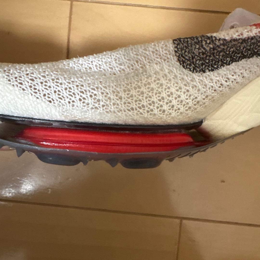 Nike ビクトリー26.5