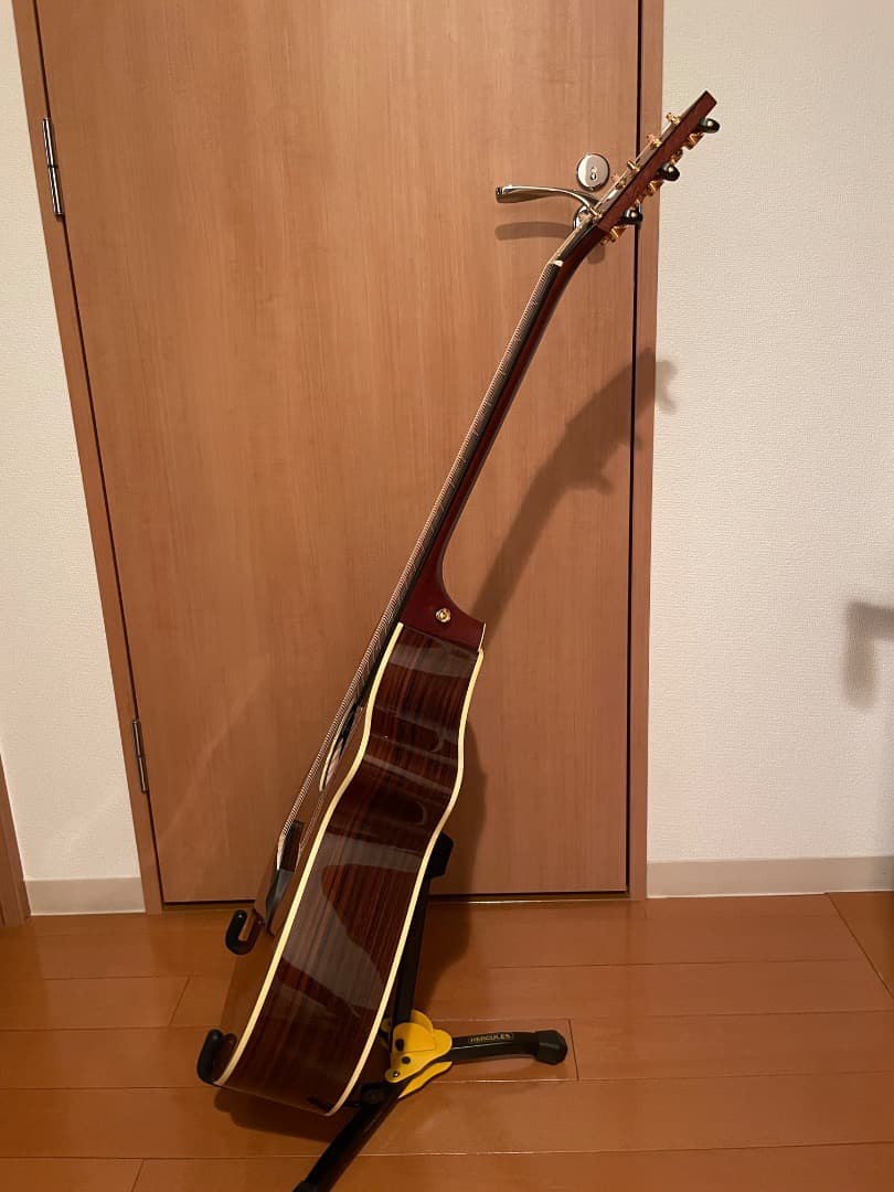 す*ん様 Breedlove Concert Focus SEブリードラブスペシ