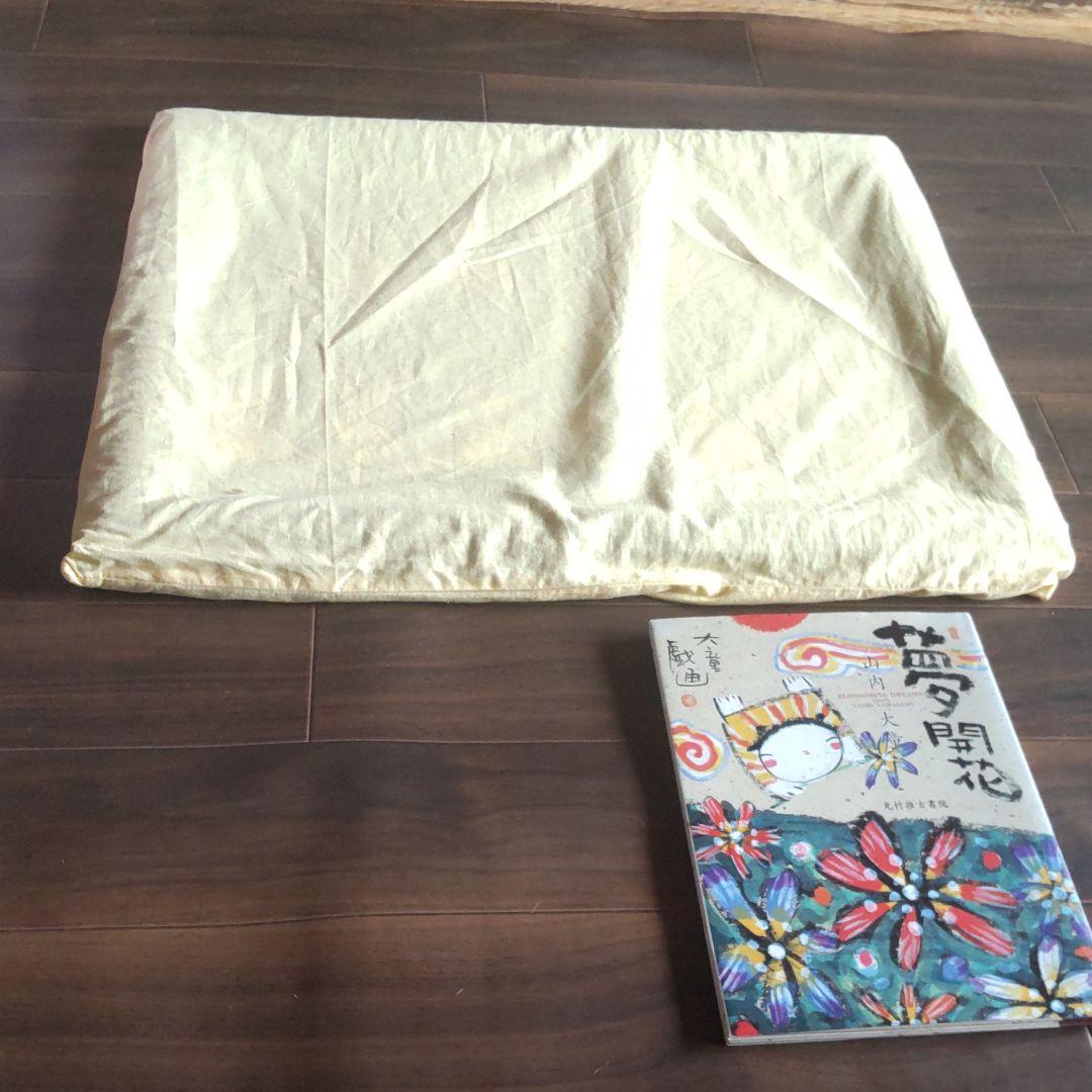 山内大童　絵画と夢開花（画集）