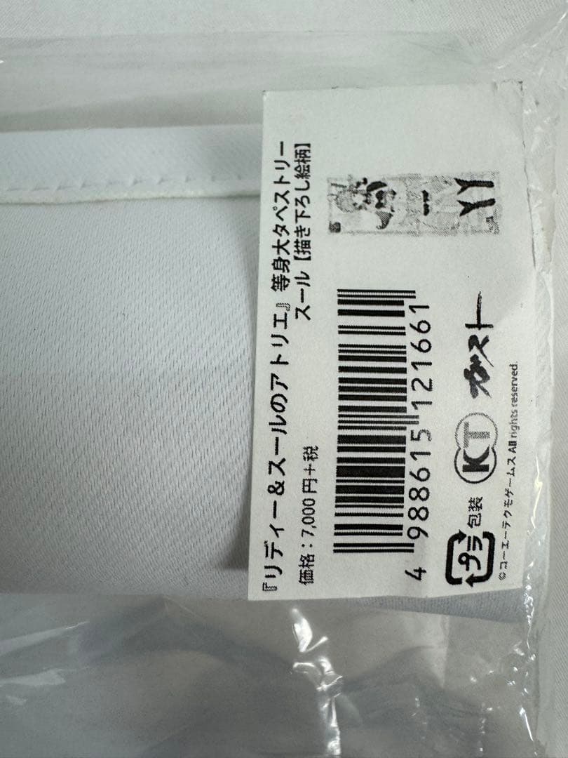 スール・マーレン　描き下ろし絵柄 等身大タペストリー リディー＆スールのアトリエ