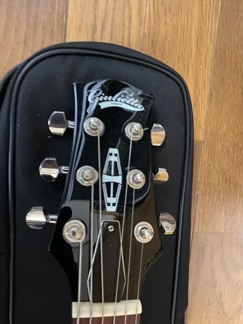 VOX GIULIETTA VGA-3D（アーム付）ソフトケースマニュアル 付属