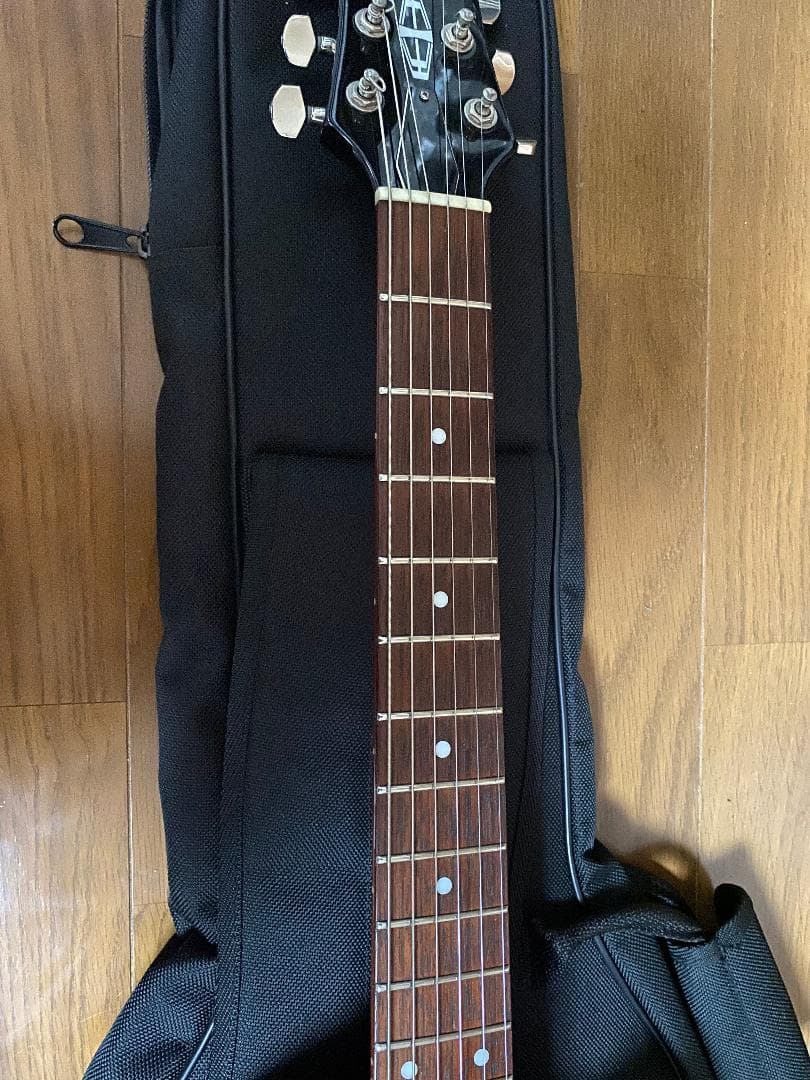 VOX GIULIETTA VGA-3D（アーム付）ソフトケースマニュアル 付属