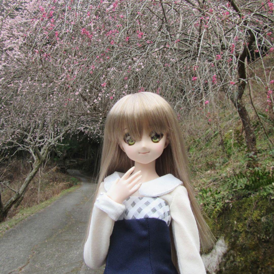 ドルフィードリーム　ドール　＋衣装20点以上、お出かけバッグ他