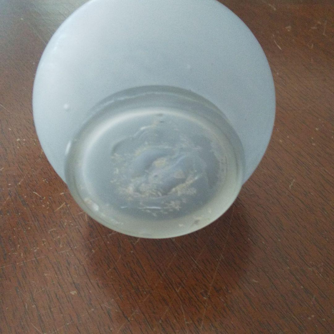 涙壺 ナミダツボ