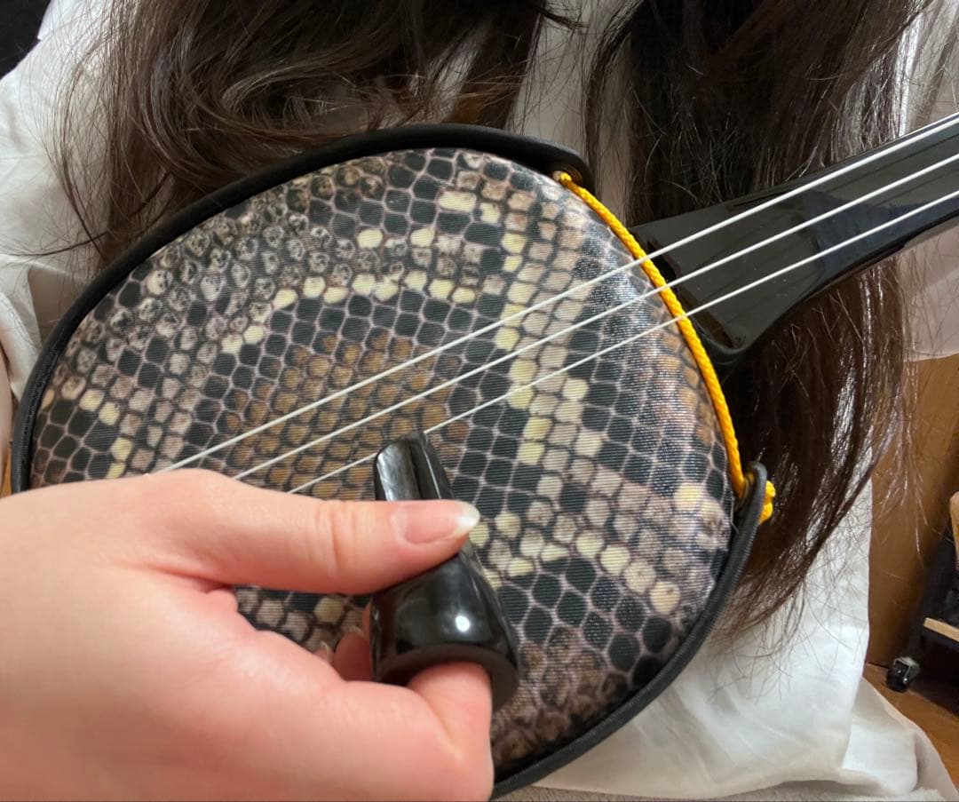 ヘビ革模様 三線本体 専用ケース付き 初心者向け