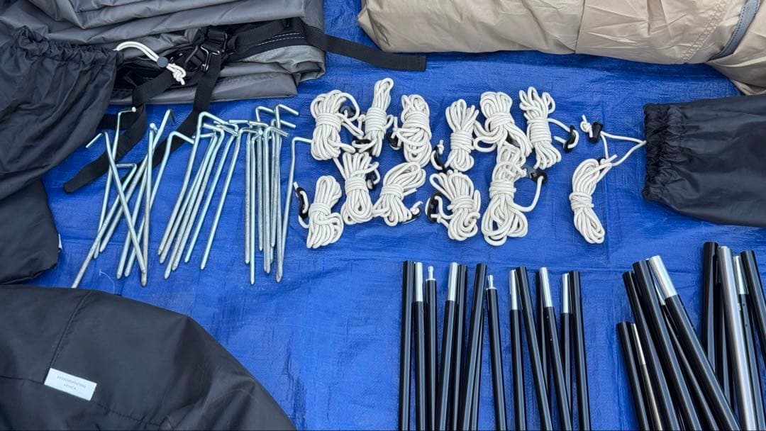 Sabbatical サバティカル　ARNICA アルニカ