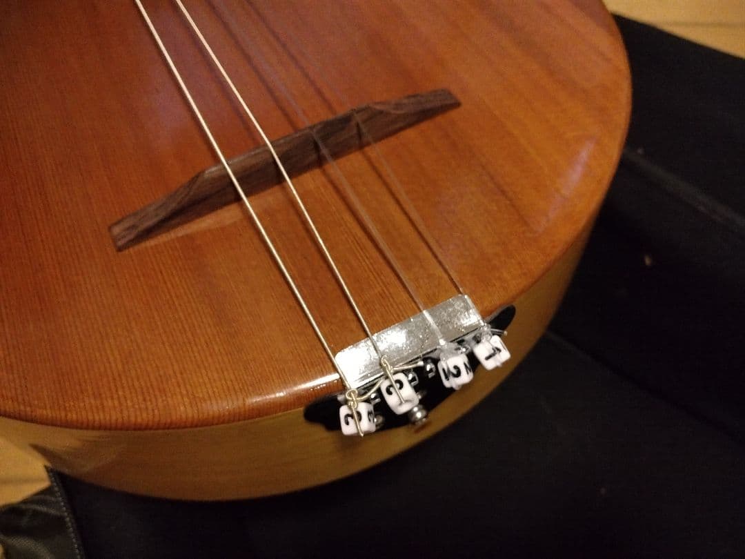 ウッドトップバンジョー(メーカー不明)