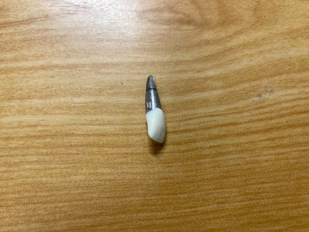 タイポドント咬合器&メタルティースセット　ロッキー（JMオーソ）型　中古