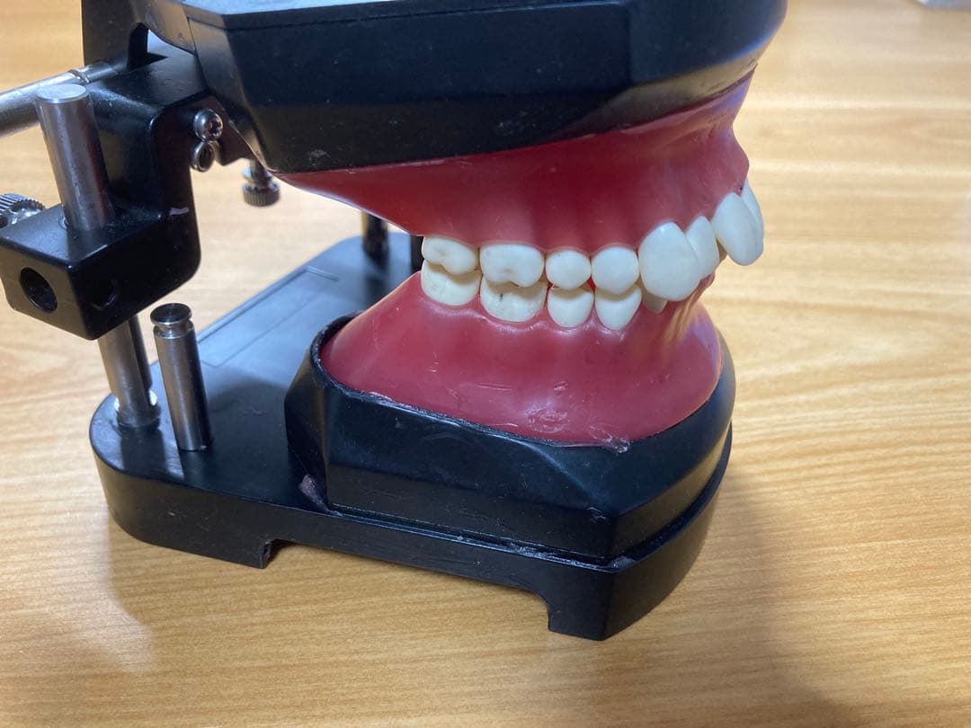 タイポドント咬合器&メタルティースセット　ロッキー（JMオーソ）型　中古