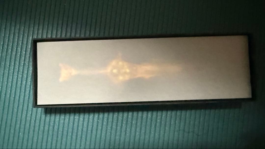 未使用品　グラブル　四天刃　ペーパーナイフ　　グラブルフェス　非売品