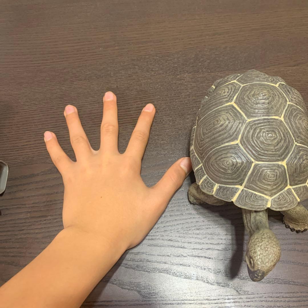 装飾用亀 大小2匹セット
