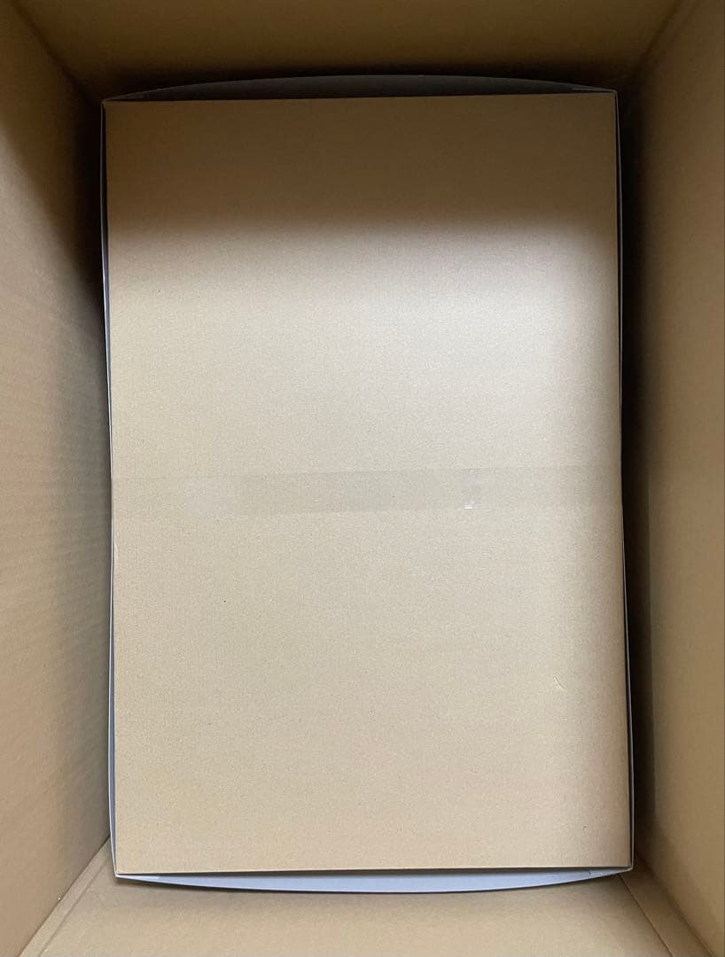 【新品未開封】MG 1/100 高機動型ザク サイコ・ザクVer.Ka