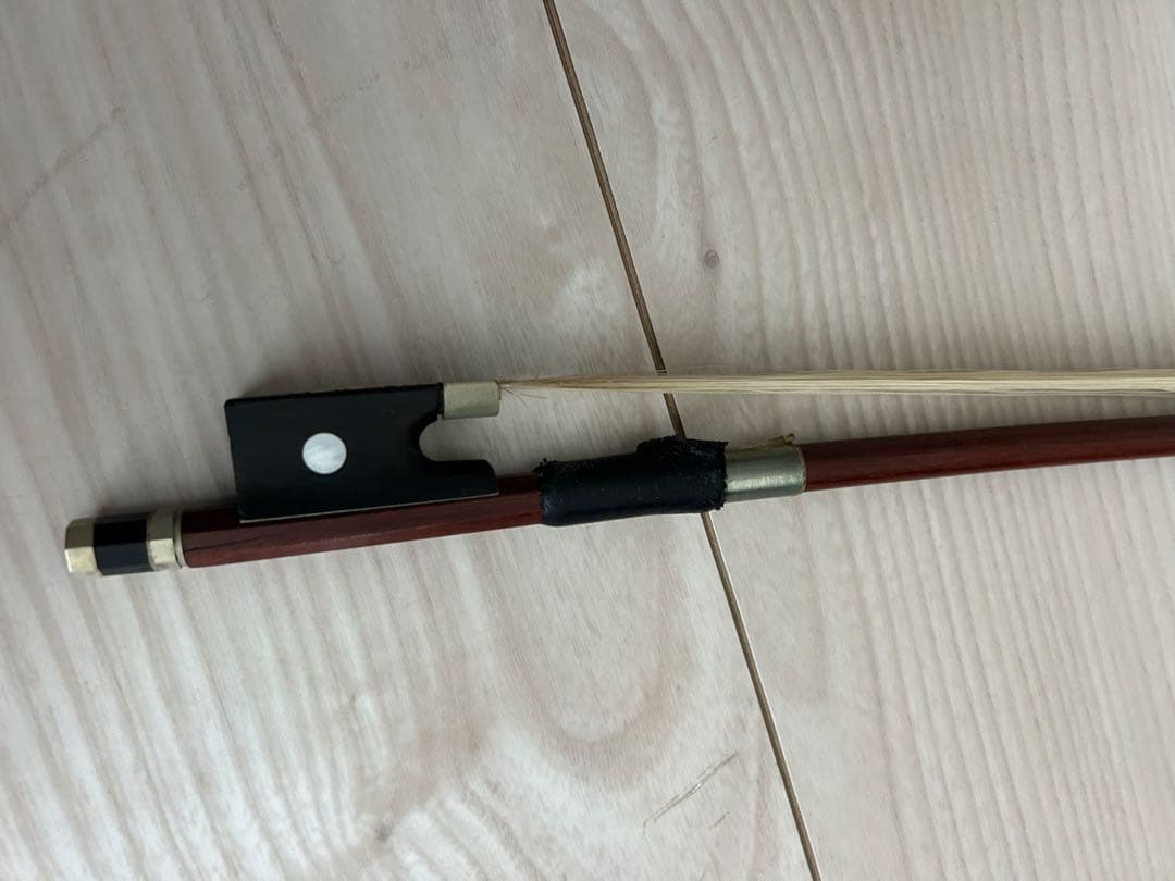 バイオリン・Carlo giordano・ケース付・1/10