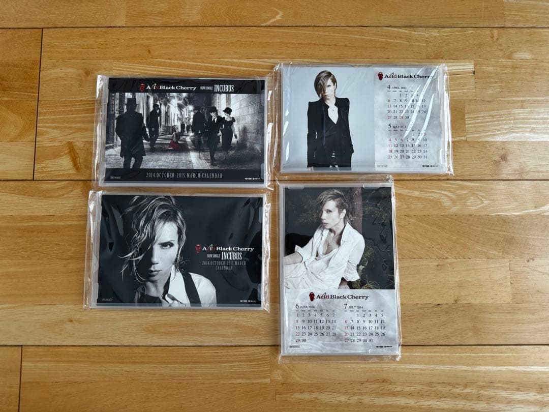 ①Acid Black Cherry ツアーグッズセット